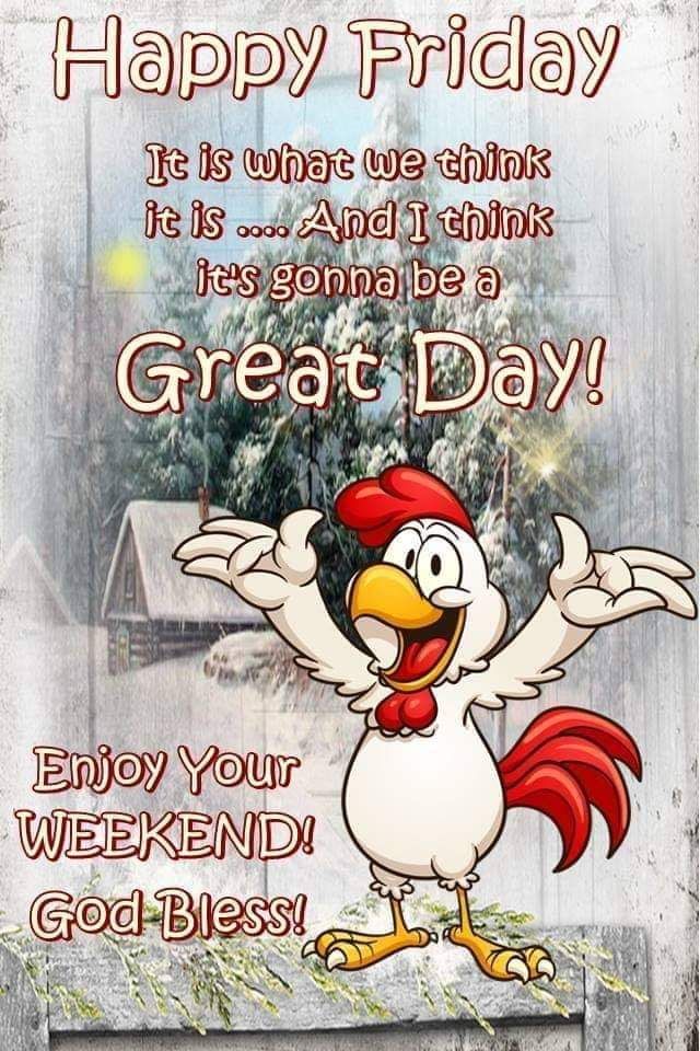 FB_IMG_1550877619729.jpg