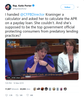 Katie Porter.png