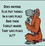 FB_IMG_1552674729902.jpg