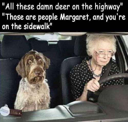 FB_IMG_1552840772220.jpg