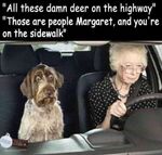 FB_IMG_1552840772220.jpg