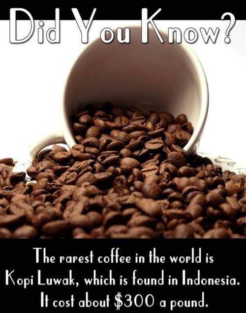 FB_IMG_1553021979857.jpg