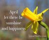 351847-Let-There-Be-Sunshine- (1).jpg