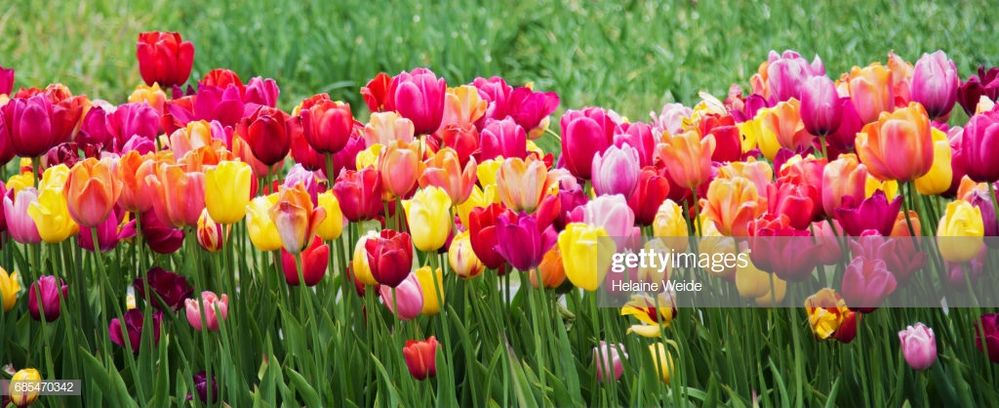 gettyimages-685470342-1024x1024.jpg