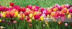 gettyimages-685470342-1024x1024.jpg