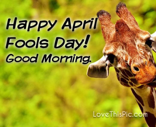 351855-Happy-April-Fools-Day.jpg
