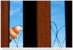 Baby Trump .png
