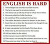 FB_IMG_1554646514285.jpg