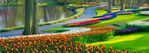 gettyimages-680247966-612x612.jpg