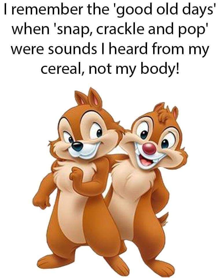 FB_IMG_1543595825297.jpg