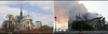notre dame 2.png