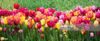 gettyimages-685470342-1024x1024.jpg
