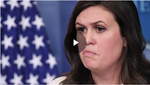 trump 8 .png