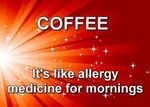 FB_IMG_1556056747589.jpg