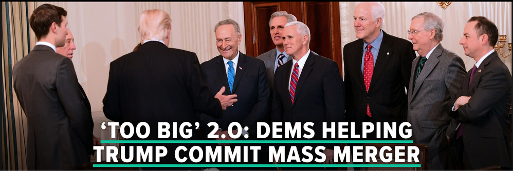 SCHUMER.png