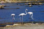 iStock_102235113_SMALL.jpg