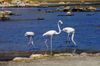 iStock_102235113_SMALL.jpg