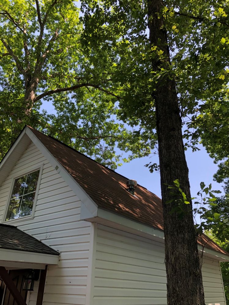 This tree sits about 4' away on the other side, but makes a nice setting, n'est-ce pas?.