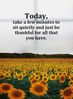 FB_IMG_1557614239094.jpg