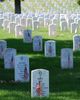 Graves_at_Arlington_on_Memorial_Day.JPG