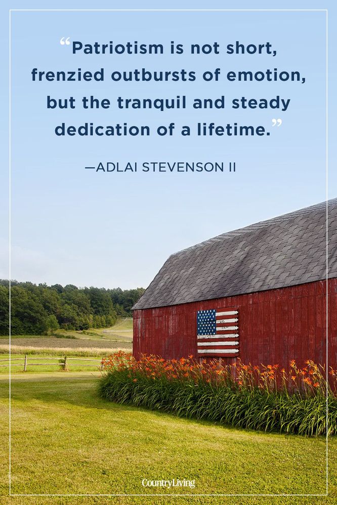 adlaistevenson-memorial-day-quote-1525289592.jpg