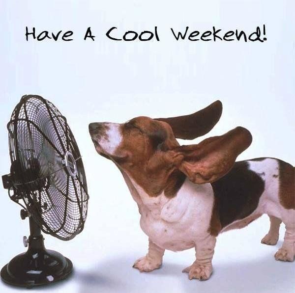 enjoy-the-weekend-quote.jpg
