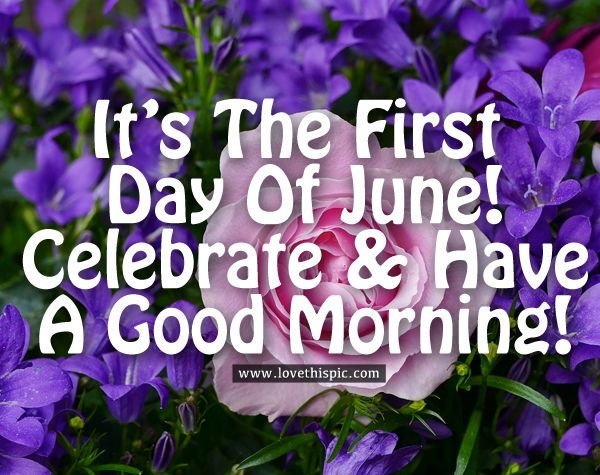 332242-It-s-The-First-Day-Of-June-Celebrate-Have-A-Good-Morning- (1).jpg