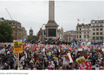 protest 3.png