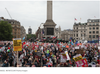 protest 3.png