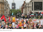 protest 4.png