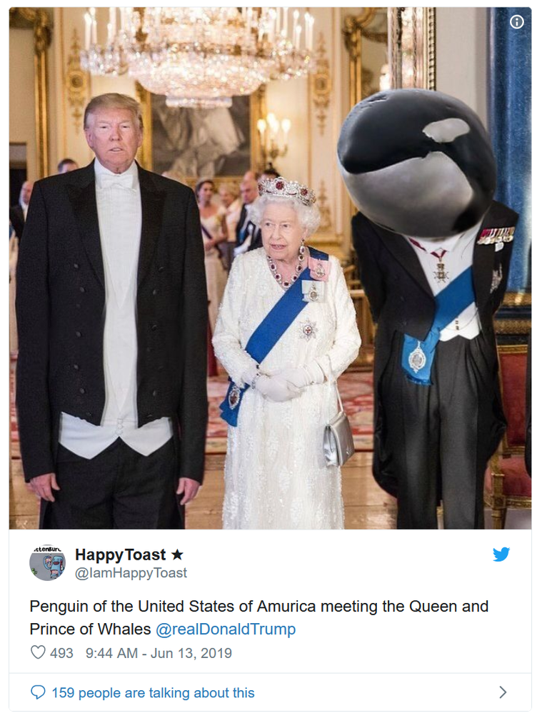 whales 2.png