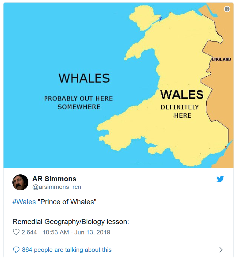 whales 4.png