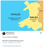 whales 4.png