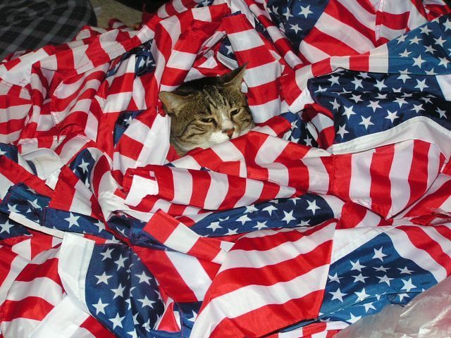 Ahhh, I loves me some flag comfort.