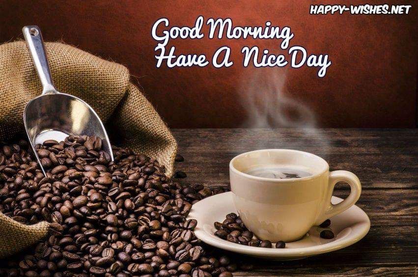 FB_IMG_1560612872740.jpg