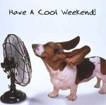 enjoy-the-weekend-quote.jpg