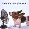 enjoy-the-weekend-quote.jpg
