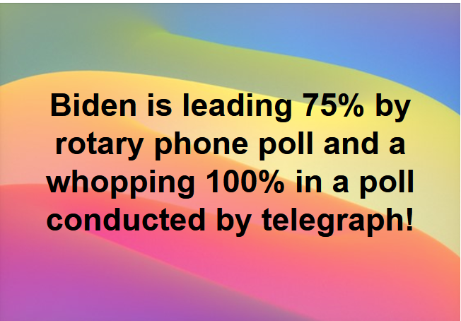 biden 2.png