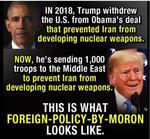 moron .png
