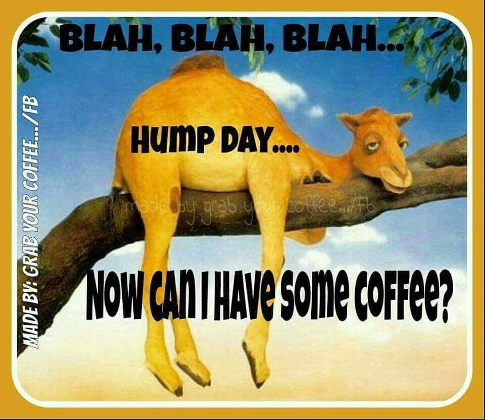 FB_IMG_1560611585756.jpg