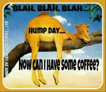 FB_IMG_1560611585756.jpg