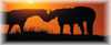 HorseBizPic.png