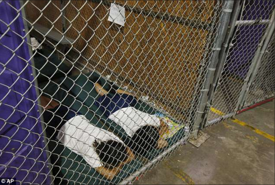 cages.png