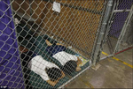 cages.png