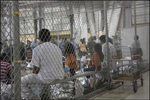 cages 2.png