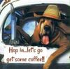FB_IMG_1557370570847.jpg