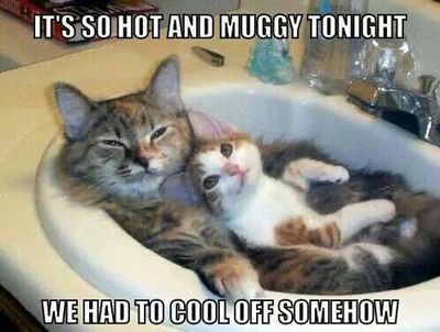 A little ice would be nice!