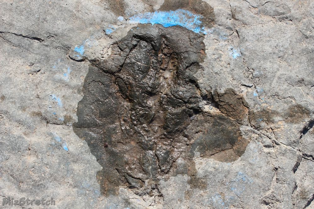 Close-up of a track that has been sprayed with water to see clearer.