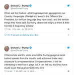 Trump racist 2.png