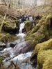 DSCN0743.JPG